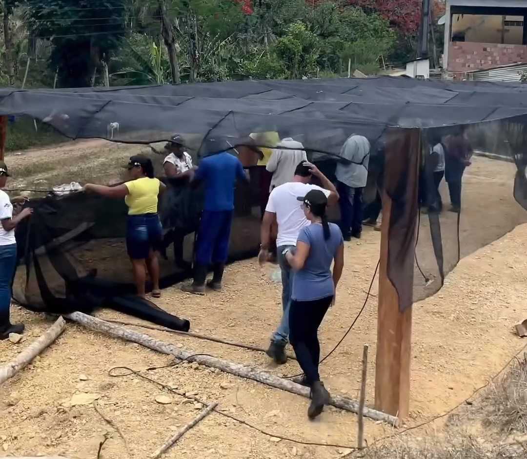 Camacã: Prefeitura de Camacã e SENAR implanta viveiro de mudas de cacau na Associação Comunitária Entre Rios
